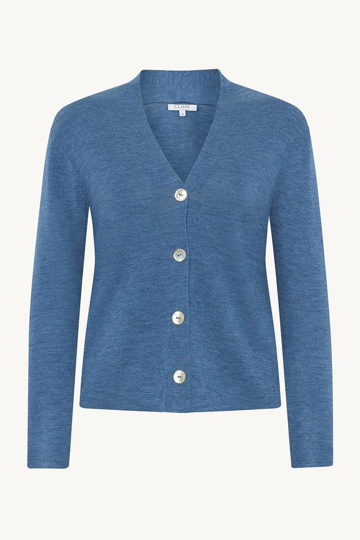 Blå cardigan med V-hals og fem knapper foran, enkel design.